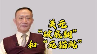 卢麒元‖美元“破底翻”和“死猫跳”！