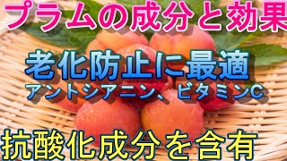 プラムの成分と効果について解説します。プラムは老化を防止する成分を含有しています。#プラム 　#すもも 　#老化防止　 #抗酸化作用