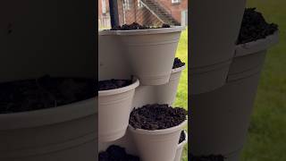 DIY Vertical Planter #dollartree #verticalplanting #diygarden