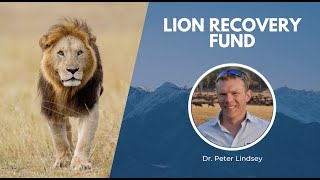 WCN Fall Expo 2021 | Lion Recovery Fund