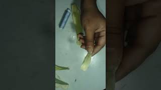 corn husk flower #shorts#youtubeshorts #subscribe #dev creativity