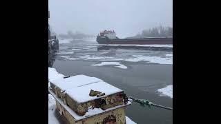 Перевалка Пшеница в морском порту Астрахань. Экспорт Зерна.