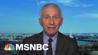 Dr. Fauci: We don't know the definitive answer on the origins of Covid