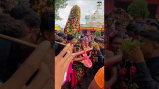 Maa🙏🌺🥥//Sambalpuri bhajan song// #shortfeed #sambalpuribhajan #trending #samaleibhajan #odiasong