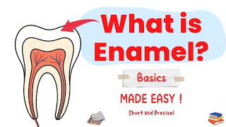 What Is Tooth Enamel? | Structure & Function | Dentistry Under 3 Minutes