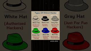 types of ethical hackers🤖🤖👾👾👾