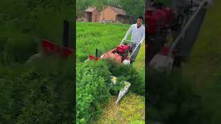 My Country Life #Record Real Life #Bumper Harvest #agricultural #farmtools #gardening #tractorpull