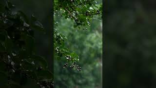 靈性探索與宗教 #人生使命 #心靈旅程 #生活目標
