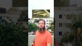 তাদের জন্য শুভকামনা।