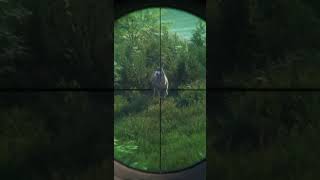 “Echoes of the Hunt: Real Stories in Nature 🎥🌿” Tags: #NatureStories #HunterTalk #FieldDiaries