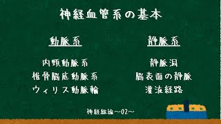 脳血管系：脳動脈・脳静脈〜神経総論02〜