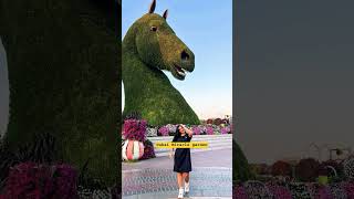 #dubai #miracle #garden #cinema #song #entertainment #trends #youtubeshorts #