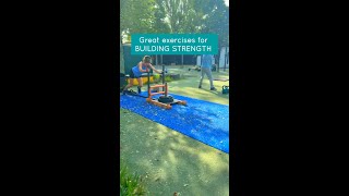 Exercises for strength  #shorts