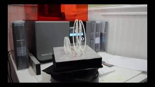 Large & Small Cull Choker, Formlabs Form2 3D Printer, White Material