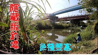 隱密長條野池魚窟，我竟然遺忘它！