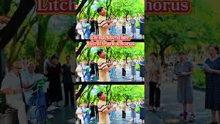 Shenzhen Litchi Park Choir, China, pays tribute to youth with songs#唱歌 #音乐 #dance #happy #健身 #中老年生活