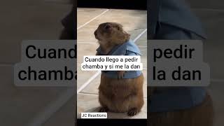 Era de chill 😂 #memes #meme #humor #shorts #viralshorts #risas #fyp