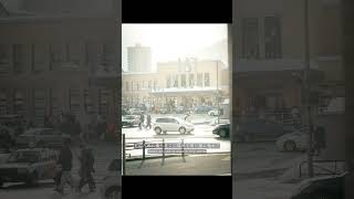 东京 涩谷  天 走遍小樽所有浪漫的地方 吹爆美好目的 坐车回札幌 小樽 小樽情书 初恋 北海道 #专业导游 #Tour #日本旅游 #日本旅行攻略 #Airport