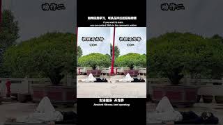 Taoist Dragon Back Exercises: Essential Morning Exercises#开龙脊#晨练#morningexercise