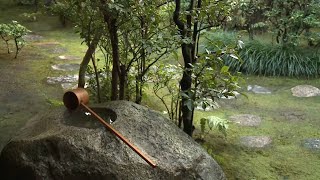 茶の湯への誘い　4　茶事「こころ」と「かたち」　'An Invitation to Chanoyu' #4 'The Tea Gathering : Spirit and Form'