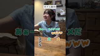 【年齢バラバラww】ろことママとスタッフの3人で「〇〇と言えば？」をやってみたら…#Shorts