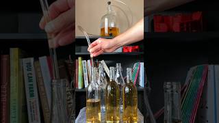 Bottling Grapefruit Wine | Making Wine at Home #shorts