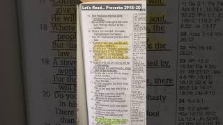 Let's Read... Proverbs 29:15-20 #shorts #letsread #biblepassage #nasb