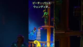 ビリーヴ！のピーター･パンとウェンディが…at東京ディズニーシー[4K撮影]