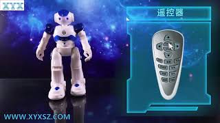 Gesture sensing robot program voice robot voice control robot manufacturer China