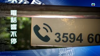 TVB新聞透視 ｜電話響不停 (繁／簡字幕)｜無綫新聞 TVB News
