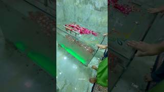 Bibi Sakina Ki Qabar Mubarak /DargahHazratAbbas A/S Lucknow / #azadari#bibisakina#bibizainab