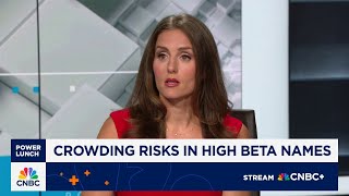 JPM: High crowding lends risk to stocks not involved in AI