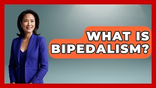 What Is Bipedalism? - Anthropology Insights