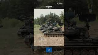 Gepard , Air Defense Detachment Iron Cheetah