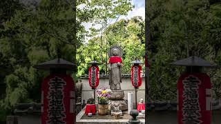 #パワースポット #モチベーション #京都 #京都旅行 #京都観光 #恋愛成就 #神社仏閣 #鈴虫寺 #shorts