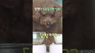 밥먹다 흐름끊기면 안돼