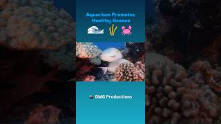 Spotlighting S.E.A. Aquarium by @rwsentosa for educating about   #oceanconservation. #biodiversity