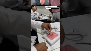 Hands on Surgical Training #shorts #mbbs #neet #india #dream #neetmotivation #aiims #medicalstudent