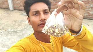 YouTube# per #new #trending# dehati# vlog #video🙏🙏