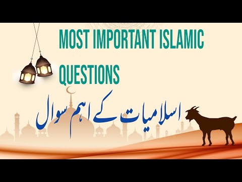 Important Islamic Information for tests Part 1
