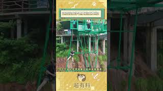 这回不得不去一趟云上草原仙侠镇体验一把当大侠的快乐了#谁的仙侠梦走进现实了#shorts