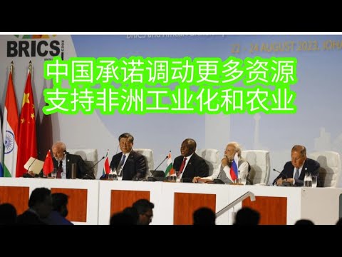 中国承诺调动更多资源支持非洲工业化和农业