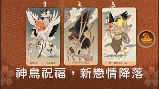 神鳥祝福，新戀情降落❤️愛情占卜 / 觀看無日期限制 / CC(Sub)EN-JP-TC