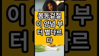 유산균 유익균이 장까지 가는 봄동 천재 맛. 양념부터 절일때 부터 맛이 벤다. 원재료 영양까지 다 먹어 장건강이 살아나는. 봄동겉절이.