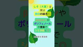 夏野菜　美容　美白　ポリフェノール　β-カロテン（ビタミンA）　抗酸化作用　免疫力アップ　ビタミンK  ビタミンＣ　カルシウム　鉄分　食物繊維　α-リノレン酸　オメガ3脂肪酸　動脈硬化予防　夏バテ予防