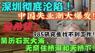 深圳也撑不住了！失业潮全面爆发！研究生月薪仅2500元还抢破头！高校招聘会全是“白菜价”岗位，这日子没法过了！AI疯狂抢饭碗，梦想之都彻底沦陷！