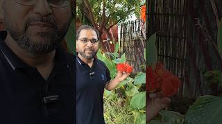 🔴Symmetry in Flower By Tarun Sir #shortsfeed #tarunsir #ytshorts #ytshortsfeature #shorts #neet2025