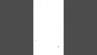 My hadgehog at photo • Arduid #Storts