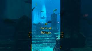 The Science Behind Deep Ocean Creatures and Discoveries - Simple Explanation!