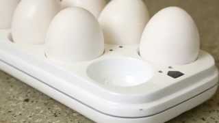 Introducing Egg Minder by Quirky